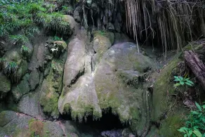 Winíka Habitat - Image 3