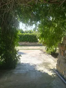Agrimat Salento - Image 4