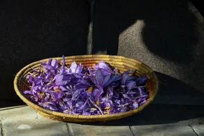 Casa Zafferano - Image 4