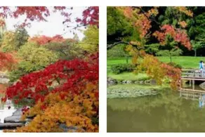 Arboretum Escape - Image 5