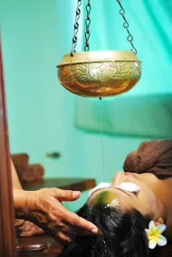 Green Ayurvedic Beach Resort - Image 3