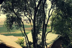 Aviv Bakerem - Image 4