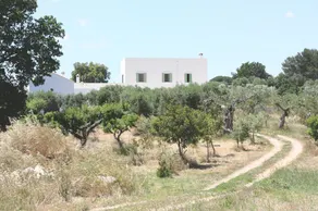 Masseria Fenicia - Image 5