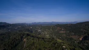 The Tea Tree Resort - Image 3