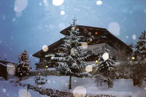 Hotel Villa Eden - Image 5