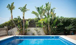 House Terral - Image 2