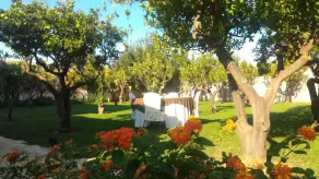 San Velletri Guest House - Image 5