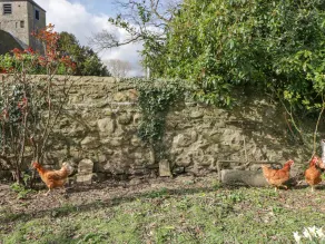 Rectory Cottage - Image 4