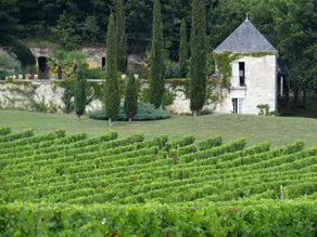 Domaine de Beauséjour - Image 3