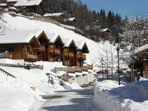 Luxurious Chalet in Wald im Pinzgau with Sauna - Image 5