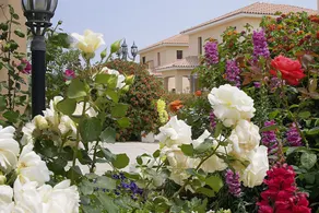 Regina's Exclusive Villas - Image 4