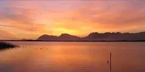 Flamingo Lake - Image 3