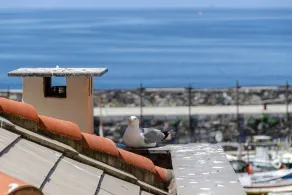 ALTIDO Charm 1 Bed Apt Overlooking Port of Camogli - Image 5