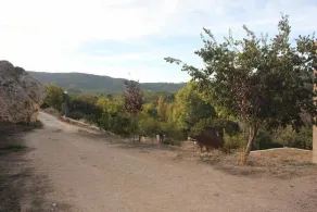 Agroturismo La Artezuela - Image 3