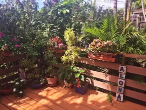 Ocean Breeze Hideaway - Image 5