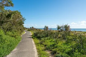 Absolute Beachfront - Image 3
