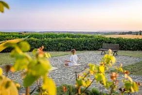 Tenuta Stoccatello - Image 4