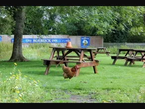 The Roebuck Inn - Image 4