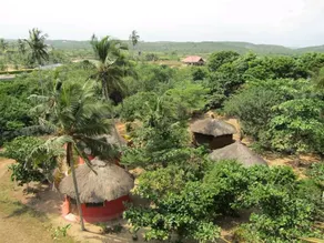 Stumble Inn Eco Lodge - Image 3