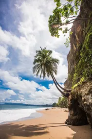 Villa Marunga Luxury and Ocean View - Image 5