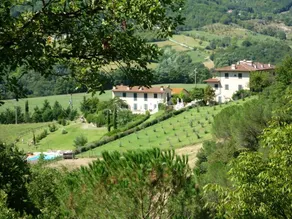 Vigneto Rimaggio - Image 3