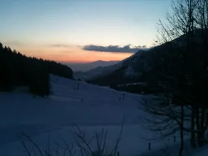 Spampatti - Image 3