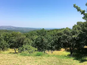 Apartment With 2 Bedrooms in Montauriol, With Shared Pool, Furnished Garden and Wifi - 34 km From the Beach - Image 5