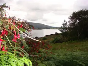 Nonaim Lodge - Image 5