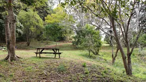Stonehouse Farm - Glamping - Image 3