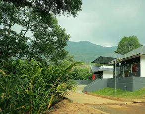 Moon hill munnar - Image 3