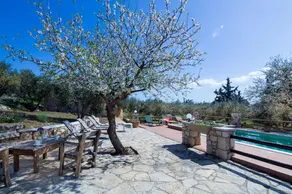 Villa Kastro Estate - Image 4