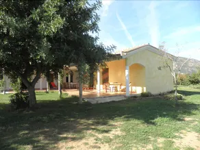 Su Concali - Image 3