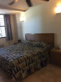 Palm Residence - Image 3