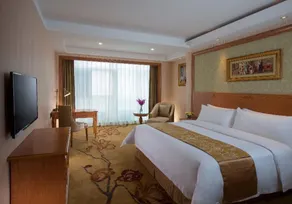 Vienna Hotel - Image 2