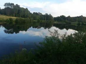 Tentrr - Sean Billy Pond Hideaway - Image 3