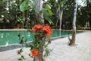 Diklande Estate Bungalow - Image 3