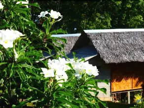 Good Morning Bungalow - Image 5