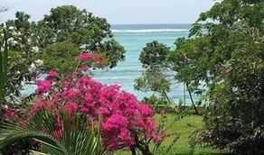 Tijara Beach - Image 3