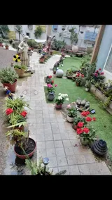 Rio Turia B&B - Image 4