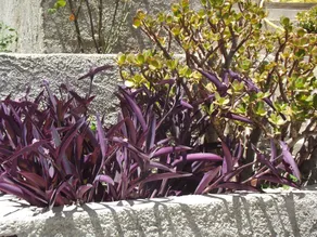 Alloggio Madogi - Image 5