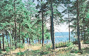 Stunning Home in Hammarö With 4 Bedrooms and Sauna - Image 3