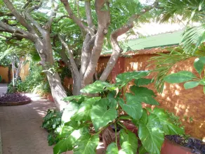 Flamboyant Garden Villas - Image 5