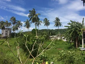 Krabilife Resort - Image 5