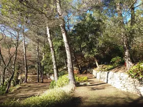 Luberon's Hidden Gem - Image 3