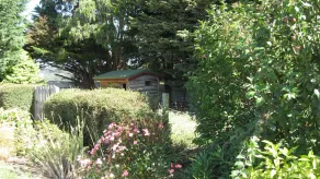 Blueberry B&B - Image 5