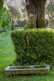 In Versilia - Image 3