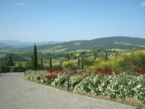 Aquaviva Hotel & Spa - Image 4