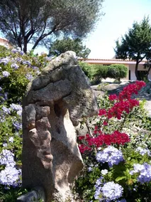 3 Botti - Image 5