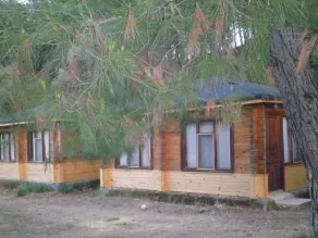 Olympos Woods - Image 2