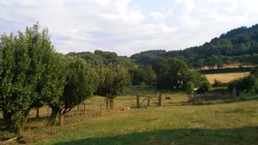 4 bedrooms house with furnished garden at Baralla - Image 4